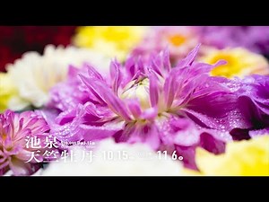 由志園 池泉天竺牡丹 2022