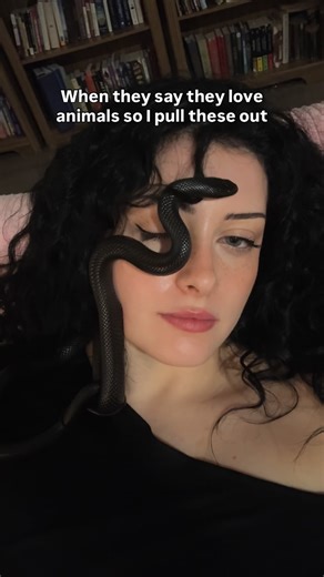 Inspire Exotics • Exotic Pet Content Creator on Instagram: "My babies 💕 Oliver the Mexican Black Kingsnake Spaz the Carpet python Juniper the False Water Cobra . . . . . . #girlswithreptiles #reptilekeeper #animals"