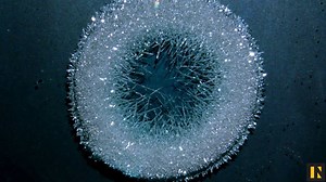 32K views · 676 reactions | This silver crystallization timelapse is surprisingly soothing. | Inverse | Facebook