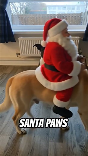 Ruby's adventures ❤️❤️❤️