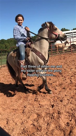 Pony Flipping Story: Part 3 — Bucking, Latches & Lessons