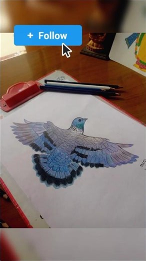 Day 6/20 Realistic Pigeon drawing #artchallenge #art #shorts #viral #youtubeshorts #youtube #pigeon