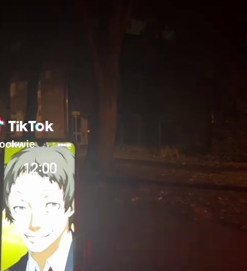 Who’s Next on the Midnight Channel? Persona 4 Discussion