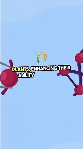 The Role of CRISPR in Developing Disease-Resistant Crops