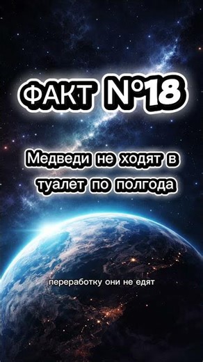 Медведи не ходят в туалет по полгода #viral #факты #факт #shortvideo #shorts #fyp