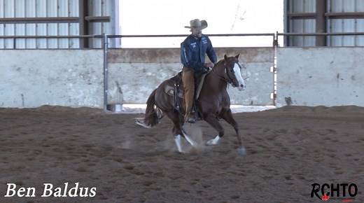 How to prepare for your very first flying lead change! Ben Baldus shows you how to prepare your horse to make his first ever lead change, focusing on: * How to approach teaching a lead change with a heavier shouldered horse. * Why you just focus on shoulder and hindquarter control at this stage. * Why Ben is not concerned about the finesse of it right now. * How to use the walls to help you. * How to transfer your body position. * Why straight lines and the counter canter are so important before
