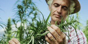 Lanzar Car Audio Amplifiers 5 Channels Lanzar 2-Channel Mosfet Amplifier â 1500W X 2, 6000W Max, Model VIBE2102N Lanzar Vibe2102n Amplifier