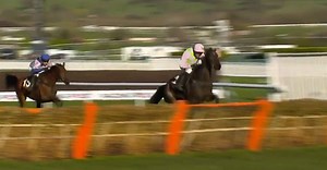 Watch: Disaster For Ruby Walsh As He Falls At The Last Hurdle | Balls.ie