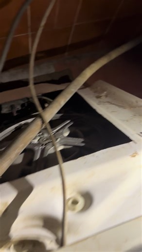 #козаровичі