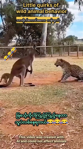 Understanding Unique Wild Animal Behaviors