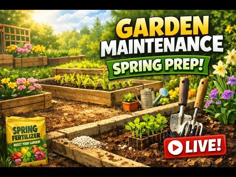 Spring Garden Prep - Bone Meal - Aerobin 400