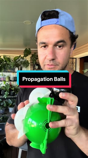 Using Propagation Balls for Easy Plant Propagation