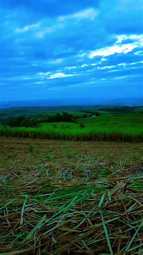 Raymart Balsimo (@raymart.balsimo)’s videos with original sound - Raymart Balsimo