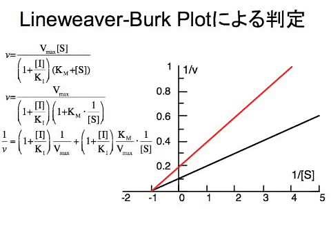 第10回 阻害剤(2) 非競合阻害と不競合阻害