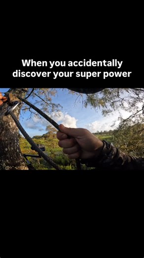 Leaving my bow up was a bad decision #bowhunting #hunting | Swamp N Stomp
