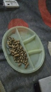 Making peanut from raw nuts 😃 #handmade #homemade #PeanutButter | Technician Copious