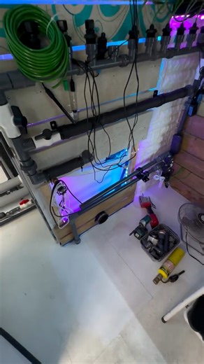 Garden Build Update…..love seeing some progress and really excited to fill the spa and get these ladies some bubbly. I’ve been stalling them out for weeks and if I had had them in the system, the day they arrived they’d be little trees by now🤣. Gotta love it when life throws ya curve balls. 👊💚💯 Have an Awesome Weekend Everybody! @grandmasterleds Code (CANNAB) @nuravine 9% Off (CANNAB9) @twistertrimmer 10% off Cure Puck(CANNAB) @cropsalt Code (CannaB) @currentcultureh2o Cch20 Code ( cannab10 