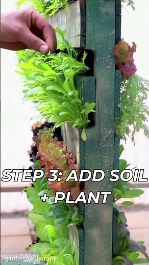 How to Build a Self-Watering Raised Bed (DIY Wicking Bed)