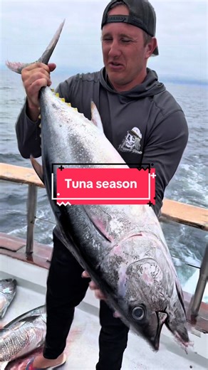 Cant wait to be back tuna fishing in San Diego #sandiego #tuna #bluefin #fishing #oldglory