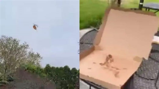 Viral Video: Seagull flies away with woman’s pizza, leaves internet in splits - WATCH