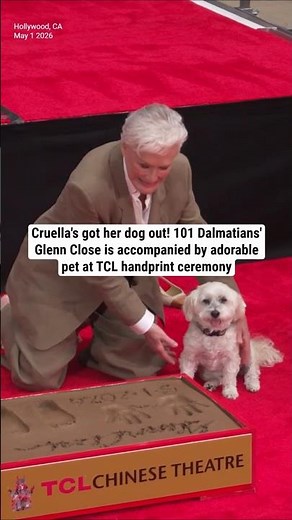 101 Dalmatians' Glenn Close is accompanied by adorable pet at TCL handprint ceremony