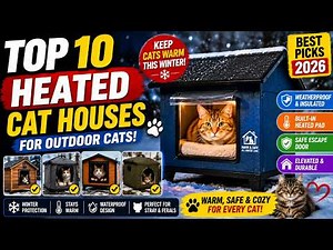 Best Heated Cat Houses for Cold Weather