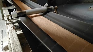 The grain moves along the conveyor belt on the elevator. Wheat is transported by conveyor for drying and grinding in the mill. Wheat grain on conveyor.