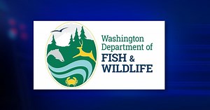Washington Department of Fish and Wildlife to use drones for data collection