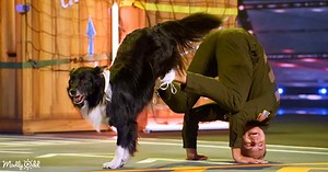 The Most Incredible Dog Performance You Will Ever See on AGT