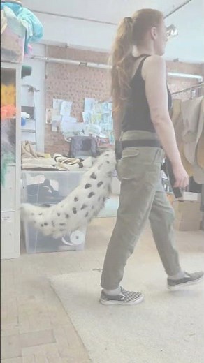 Beautiful custom wolf tail, detail on the sides. What do you think? Let me know in comments #wolf