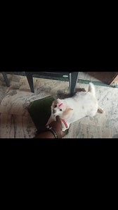 Mari gali Mari gali ki soda🤣🤣 | Ohh Bhaina