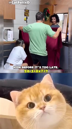 Double check it 😹🙀 #cat #dance #memes #trending