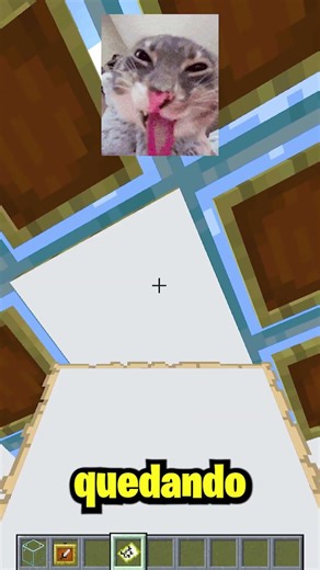 INCREÍBLE ILUSIÓN ÓPTICA DE MINECRAFT