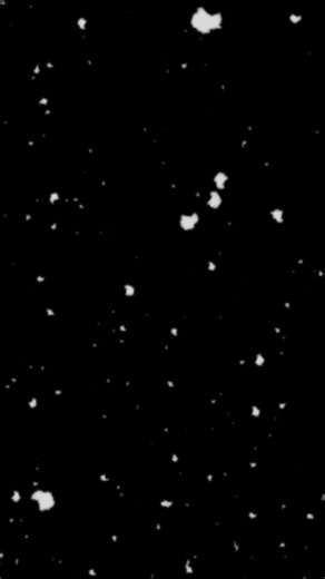 ✨ Es ist soweit: Unser exklusiver Adventskalender ist ab sofort im Pre-Sale erhältlich! Freu dich auf 24 Beauty-Momente, darunter 7 Originalgrößen – stilvoll verpackt in einem hochwertigen Kalender, den du auch nach der Weihnachtszeit weiterverwenden kannst, z. B. als Schmuckkästchen oder Organizer. Nur jetzt zum Pre-Sale-Preis von 159,90 € statt 179,90 €, bei einem Gesamtwert von rund 450 €. Die Stückzahl ist limitiert – sichere dir dein Exemplar, solange der Vorrat reicht. 🎁💫 | DALTON MARINE