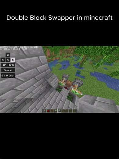 Double Block Swapper in Minecraft..........