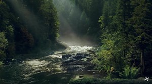 Peaceful Stream Live Wallpaper - MoeWalls