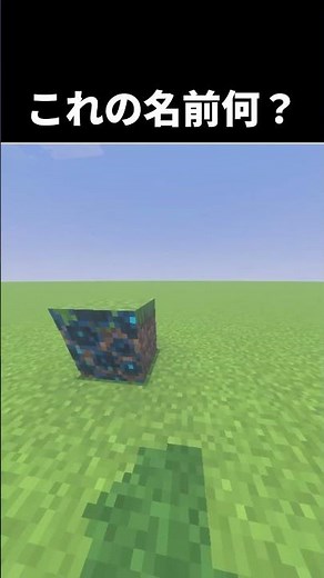 ほとんど知らないこれの名前 #マイクラ #minecraft #マインクラフト