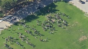 Magnitude 7 earthquake rocks California sparking tsunami warning & evacuations