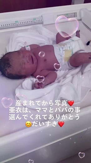 癒される(◦ˉ ˘ ˉ◦)