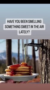 263K views · 771 reactions | An EF2 tornado in south Portage, MI on May 7, 2024 has forever changed a portion of Celery Flats trail. This before and after comparison courtesy of Matt Malone. | Ellen Bacca | Facebook