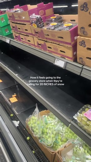 Snow storm has hit the grocery stores, luckily they have an influx of grapes… let’s see how much snow we actually get😵‍💫 #snowstorm #grocerystore #fyp #snow #fightingformylife
