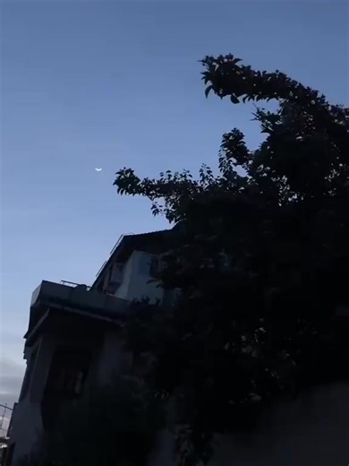 world king Allah🥰🥰 (@worldkingofallah)’s videos with original sound - world king Allah🥰🥰