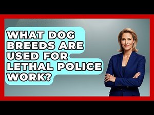 What Dog Breeds Are Used For Lethal Police Work? - Law Enforcement Insider