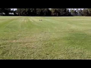 King Motor Baja T2000 White 30.5cc 1/5 Scale 4WD RC Desert Truck