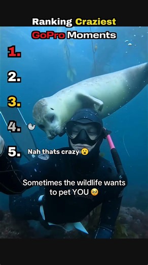 Ranking Craziest GoPro Moments #shorts