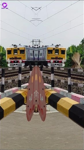 Splitting train effect on Rail Gate #shorts
