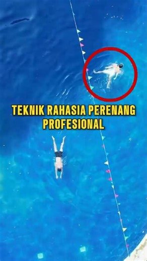 Basic Techniques and Secrets of Champion Swimmers