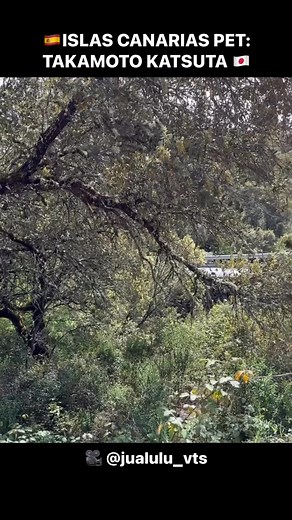 4.6K views · 51 reactions | CANARIAS PET: KATSUTAToyota has completed another day of testing with Katsuta at the wheel of the GR Yaris Rally1 in preparation for the @rallyislascanarias_official (WRC 2025 Round 4, 24-27 April). / Video by @juanlulu_vts / #WRC #WRCLive #Rally #Rallye #Rallying #Toyota #ToyotaGazooRacing #TGRWRC #GRYarisRally1 #Rally1 | AG RALLY | Facebook