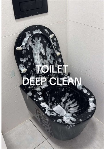 How to Properly Clean Your Black Toilet