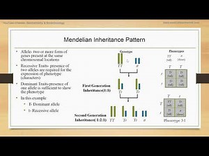 Pattern of Inheritance Pattern of Genetic Disorder- Part I Introduction to Mendelian Inheritance
